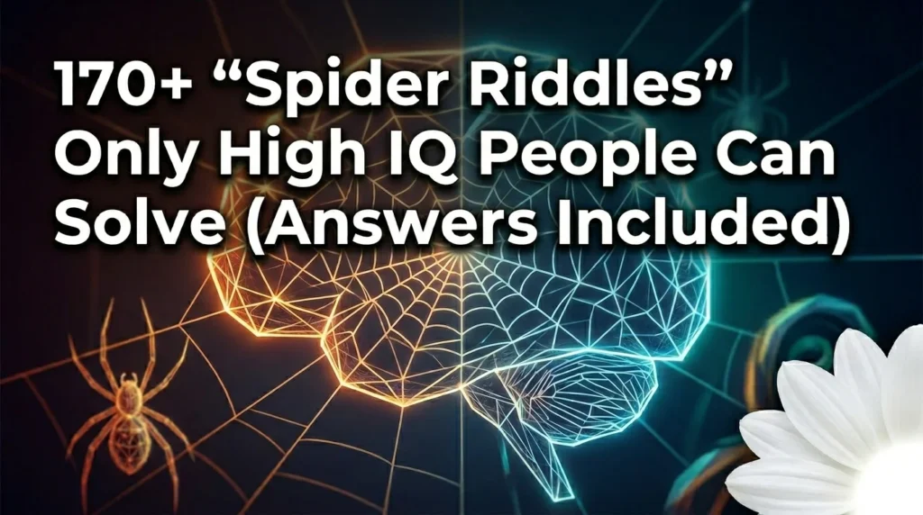 Spider Riddles