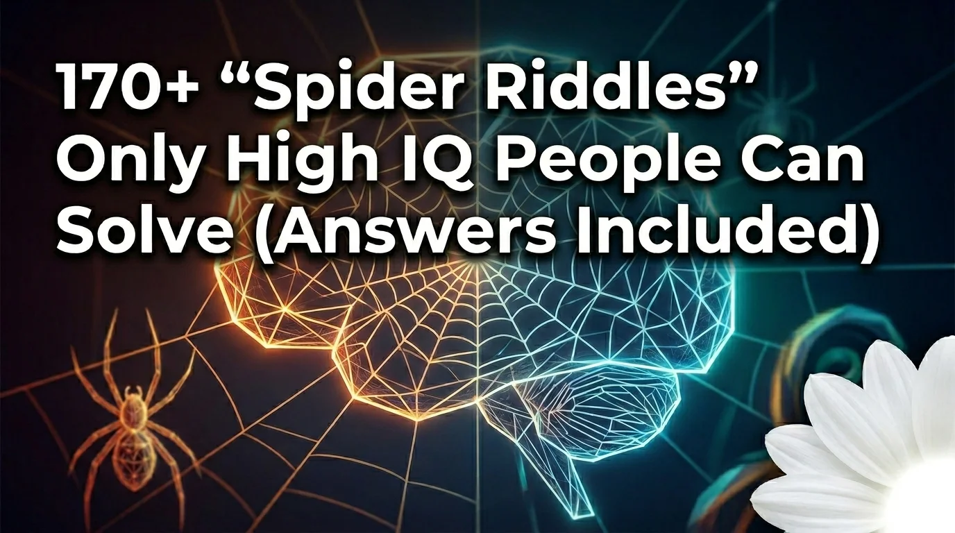 Spider Riddles